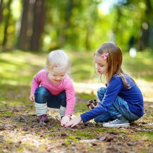 Little sisters gathering pine cones — Stock Photo, Image
