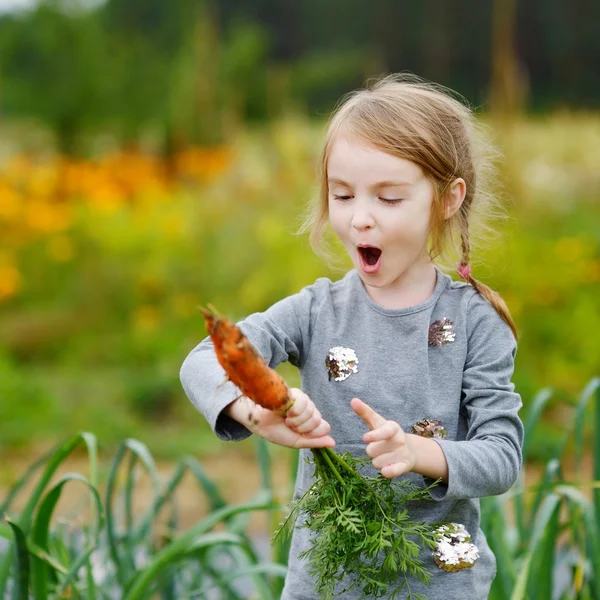 Weinig meisje plukken wortelen — Stockfoto