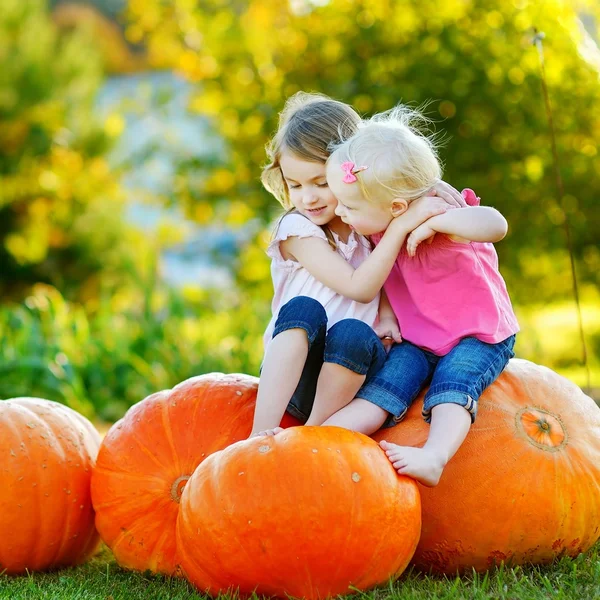 Twee kleine zusters op enorme pompoenen — Stockfoto