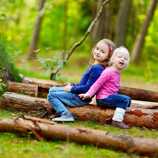 Little sisters in forest — Stock Photo, Image