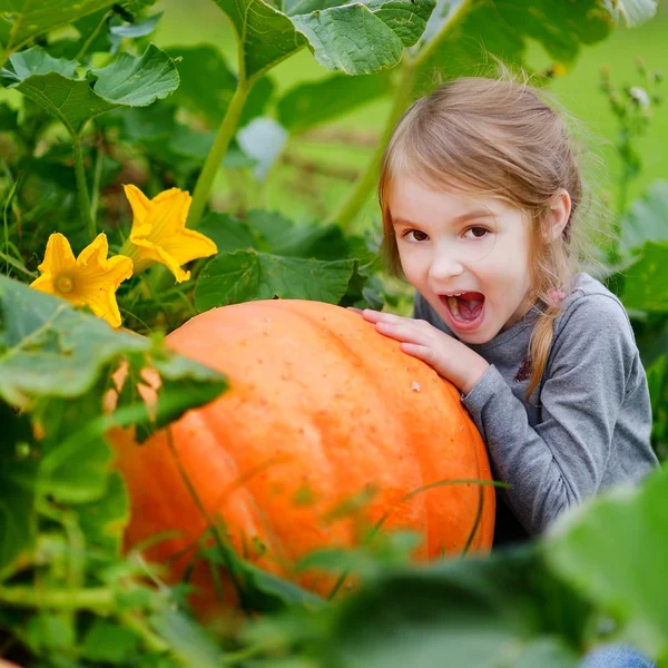 Petite fille étreignant citrouille — Photo