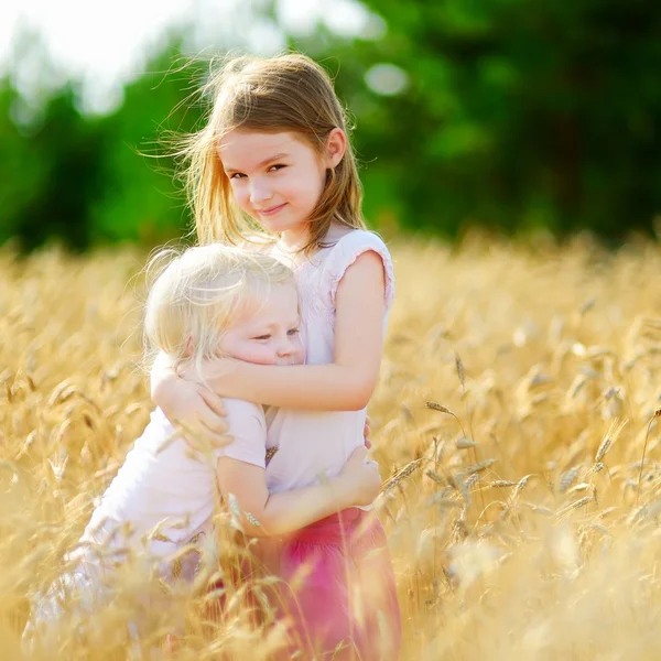 Adorable little sisters in wheat field — Stock Photo, Image