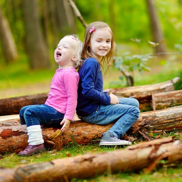 Little sisters in forest — Stock Photo, Image