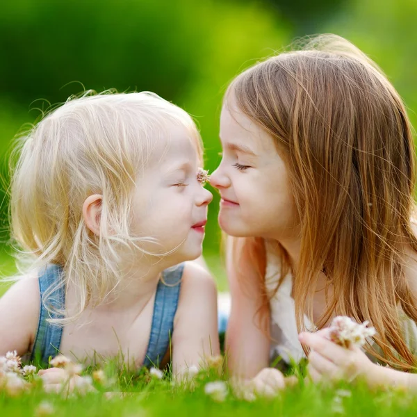 Niedliche kleine Schwestern im Gras — Stockfoto