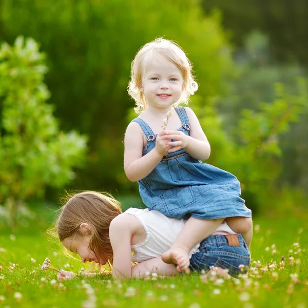 Сестры веселятся на траве — стоковое фото