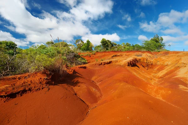 와이메아 캐년의 유명한 빨간 먼지 — 스톡 사진