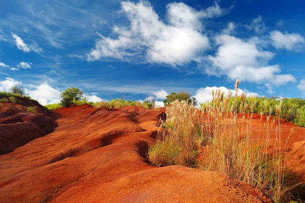 Famosa suciedad roja del cañón de Waimea — Foto de Stock