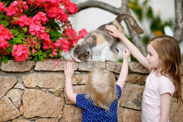 Cute little sisters i kot — Zdjęcie stockowe