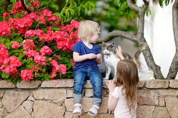 Irmãs pequenas bonitos e um gato — Fotografia de Stock