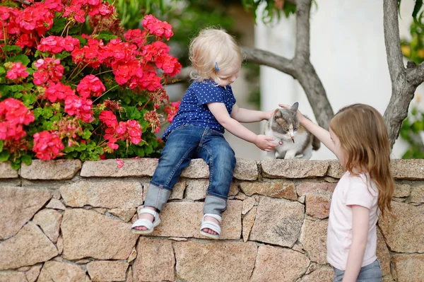 Carino sorelline e un gatto — Foto Stock