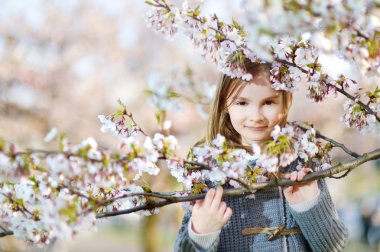 Küçük kız kiraz çiçeklenme içinde Bahçe