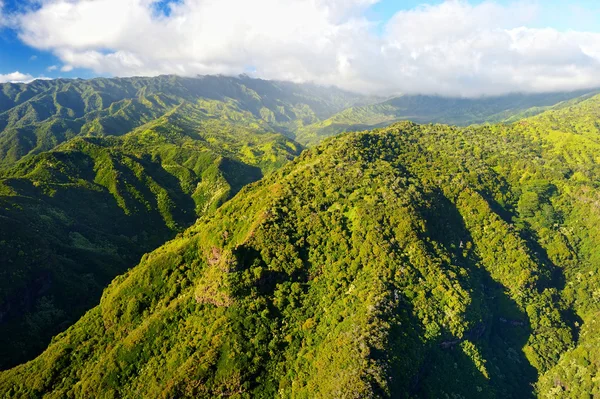 Superbe vue aérienne de jungles spectaculaires — Photo