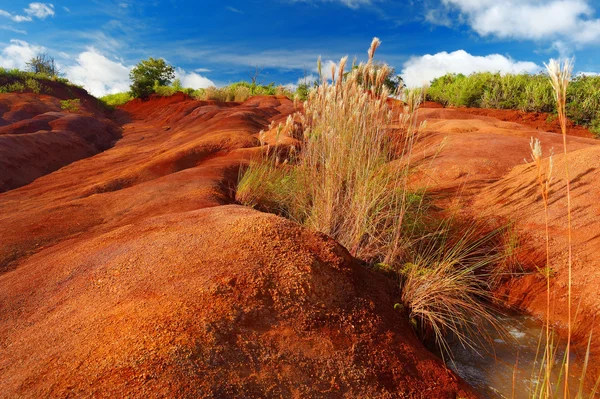 Famosa suciedad roja del cañón de Waimea — Foto de Stock