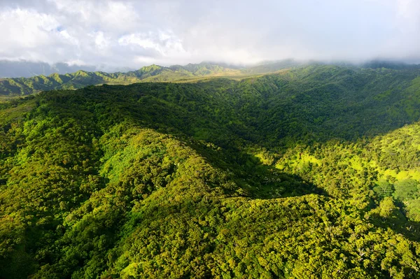 Muhteşem ormanlarda çarpıcı havadan görünümü — Stok fotoğraf