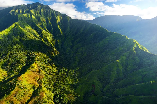 Luchtfoto uitzicht van spectaculaire jungle — Stockfoto