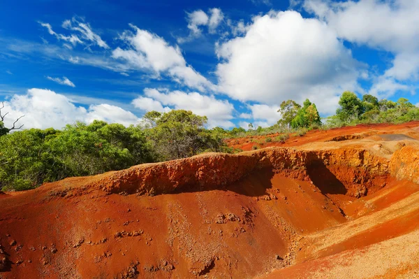 Famosa suciedad roja del cañón de Waimea en Kauai — Foto de Stock