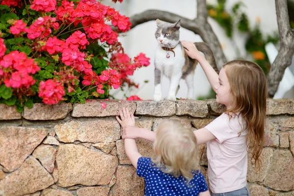 Niedliche kleine Schwestern und eine Katze — Stockfoto