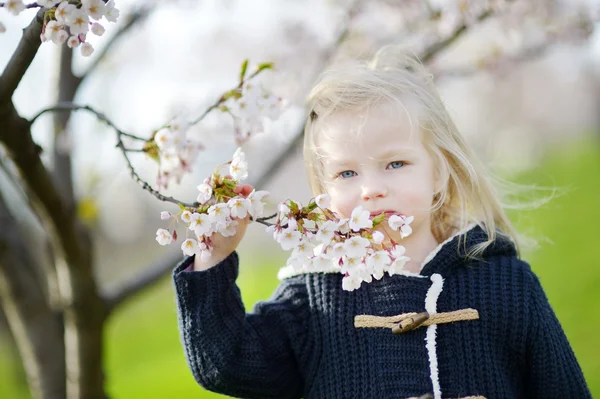 Ragazza in fiore giardino di ciliegie — Foto Stock