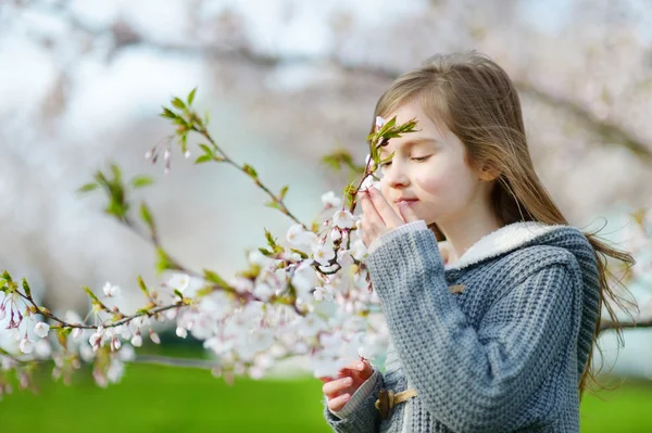 Маленькая девочка в цветущем вишневом саду — стоковое фото