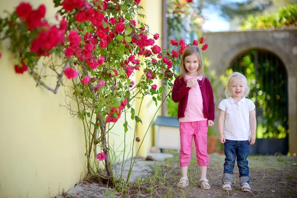 Irmãs pequenas bonitos ao ar livre — Fotografia de Stock