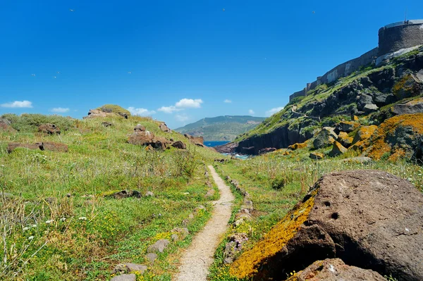 Landscape of the coast of Sardinia — Stock Photo, Image