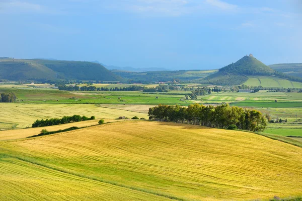 Landscape of meadow in Sardinia — Stock Photo, Image