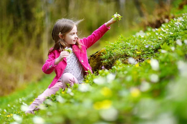 Menina escolher as primeiras flores — Fotografia de Stock