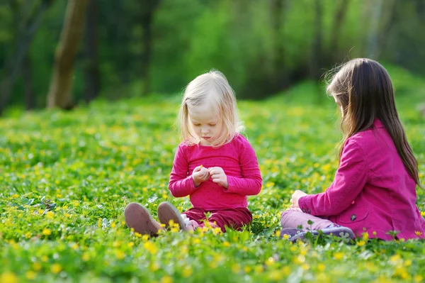 Sisters on blooming flower field — Stock Photo, Image