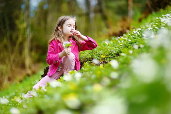 Девушка, собирающая первые цветы — стоковое фото