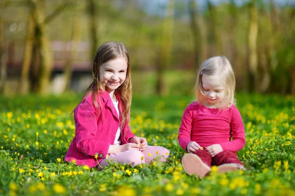 Hermanas en el campo de flores en flor —  Fotos de Stock