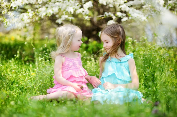 Hermanas en floreciente jardín de cerezos — Foto de Stock