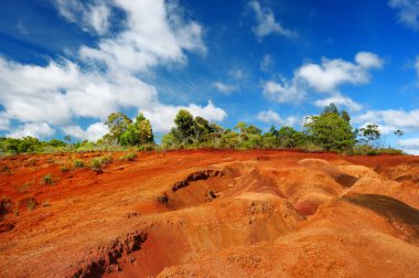 Kauai Waimea Kanyon Kırmızı kir