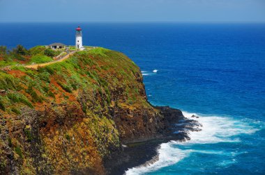 Kilauea deniz feneri Kauai defne