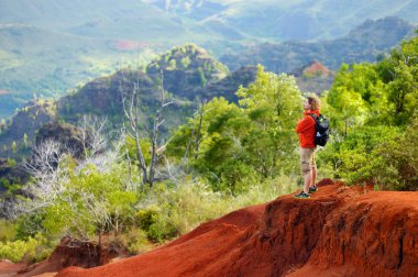 manzarayı Waimea Canyon içine adam