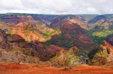 Waimea kanyona, Kauai görüntülemek