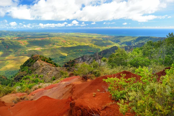 Vista al cañón de Waimea, Kauai — Foto de Stock