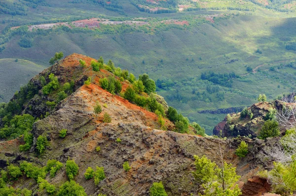 Widok na kanion Waimea, Kauai — Zdjęcie stockowe