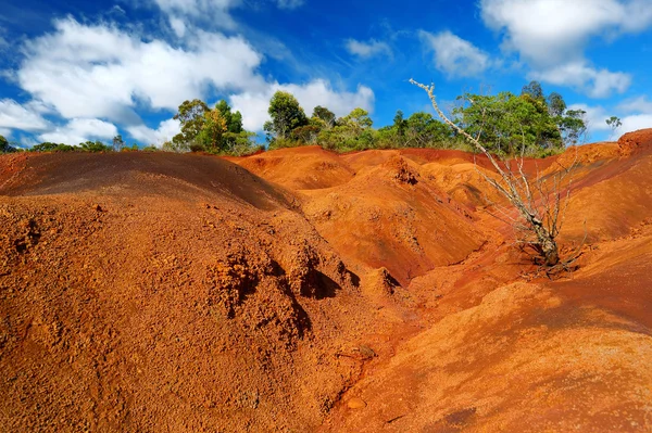 Red dirt of Waimea Canyon in Kauai — Stock Photo, Image