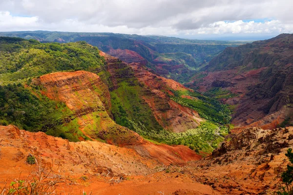 Bekijken in Waimea Canyon, Kauai — Stockfoto