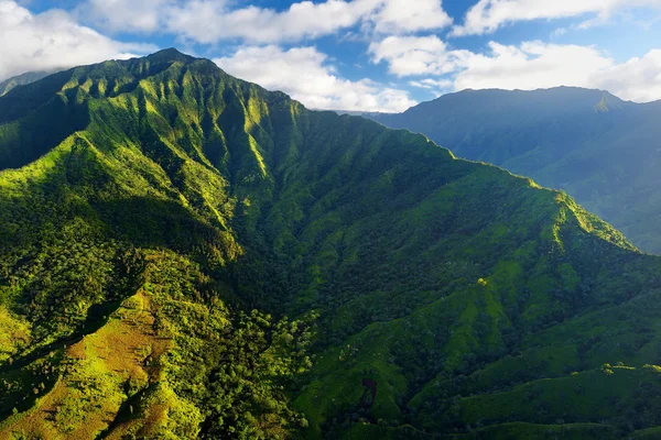 Espectaculares selvas, Kauai —  Fotos de Stock