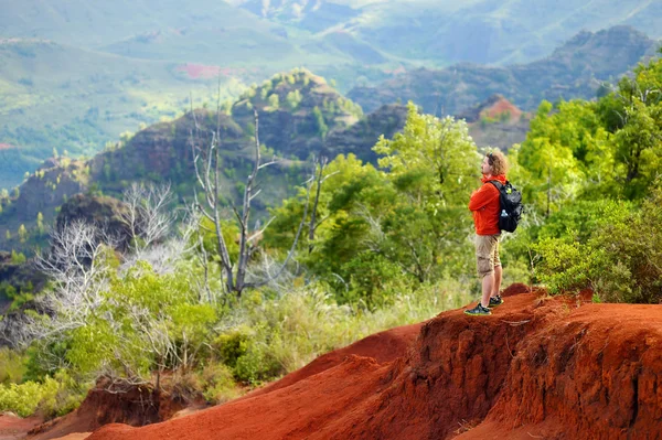 Man njuter utsikten till Waimea Canyon — Stockfoto