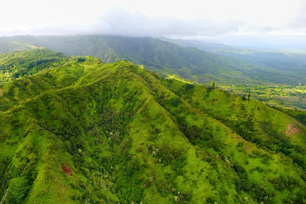 Vue sur les jungles spectaculaires, Kauai — Photo