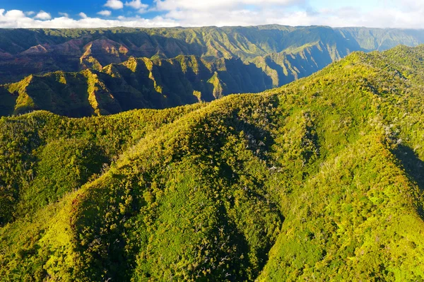 Weergave van spectaculaire jungles, Kauai — Stockfoto