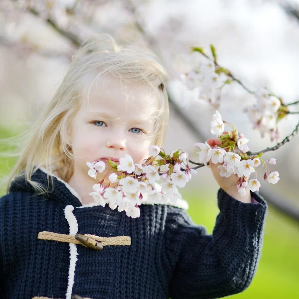 Flicka i blommande cherry garden — Stockfoto