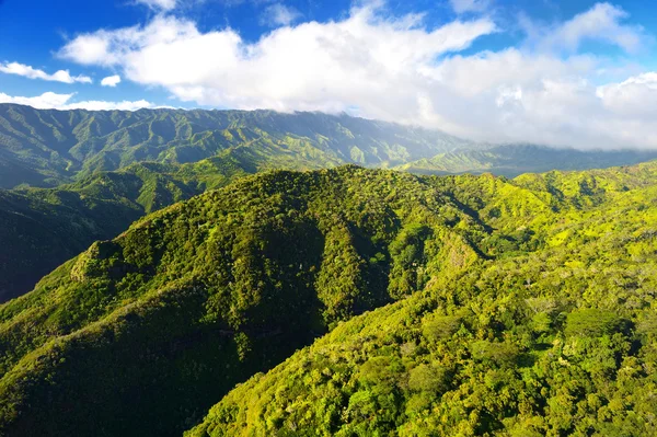 Vista de selvas espetaculares, Kauai — Fotografia de Stock