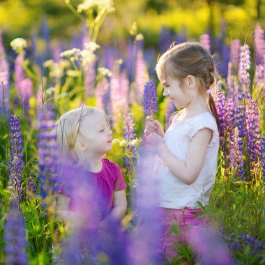 çiçek acı bakla alan kız