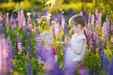 çiçek acı bakla alan kız