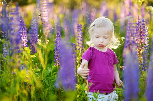 Menina no campo lupine florescendo — Fotografia de Stock