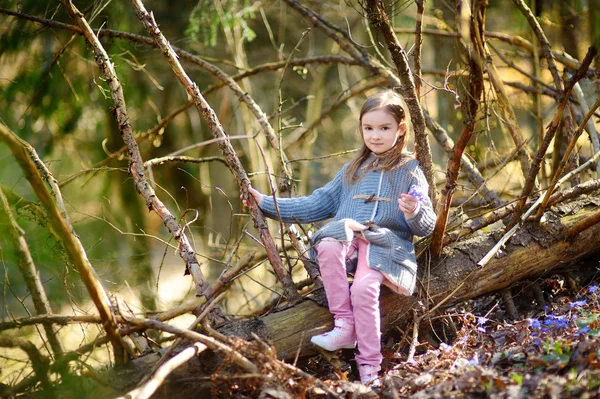 Flicka plocka de första blommorna — Stockfoto