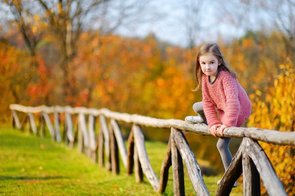 Bambina il giorno d'autunno — Foto Stock